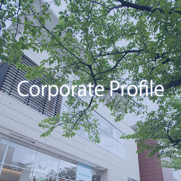 Corporate Profile